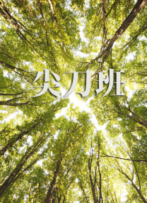 日韩精品不卡