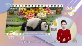 一本久久精品一区二区
